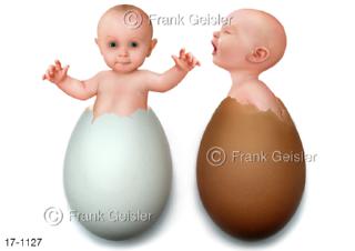 Kleinkind Baby in Verschiedenfarbenen Eierschalen als Symbol für Genetik