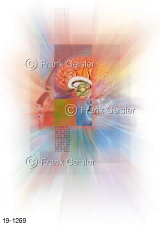 Medical Art Sinne Sinnesorgane ZNS Gehirn