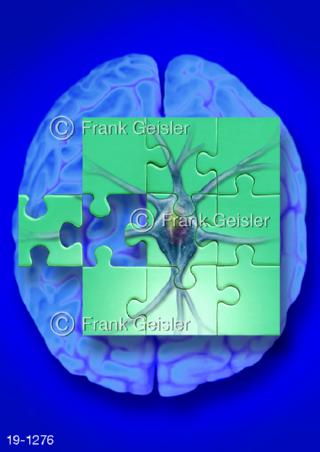 Medical-Art ZNS Gehirn Nervenzelle Neuron