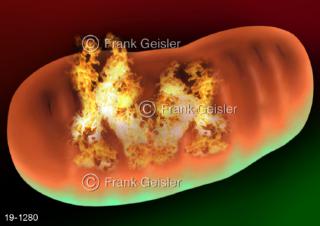 Medical-Art Mitochondrium Zellkraftwerk Kraftwerk in Zelle