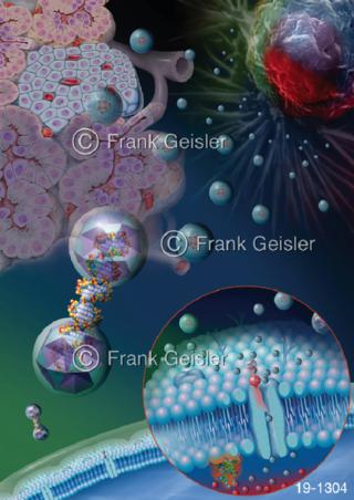 Medical-Art Nanomedizin Nanotechnologie Hyperthermie Krebstherapie