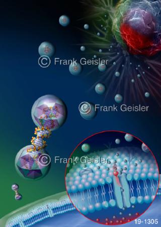 Medical-Art Nanomedizin Nanoteilchen Hyperthermie Krebstherapie