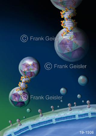 Medical-Art Nanomedizin Krebstherapie Gentherapie