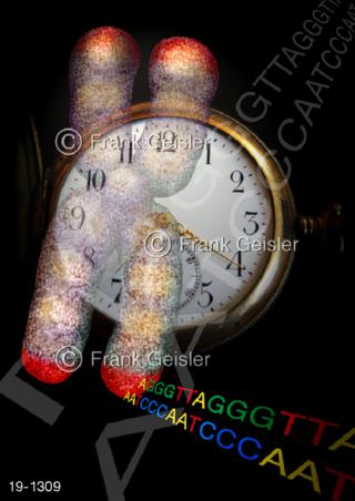Medical-Art Chromosom Telomere innere Uhr Zellen