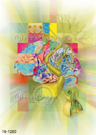 Medical Art Nerven Nervensystem Gehirn