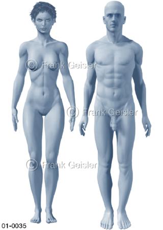 Gestalt von Frau und Mann von vorn