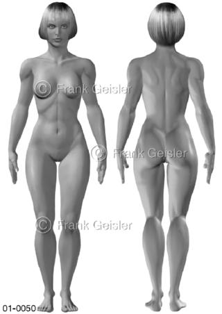 Oberflächenanatomie Körper Frau