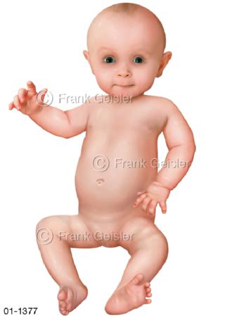 Gestalt Körper Baby Kleinkind