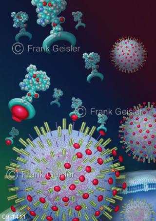 Grippevirus, Neuraminidasehemmer Tamiflu