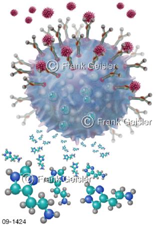 Mastzelle mit Allergen Histamin