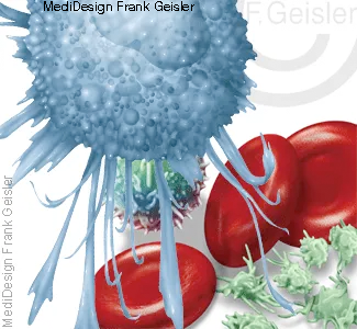 Blutzellen mit Fresszelle Makrophage Blutzellen mit Fresszelle Makrophage